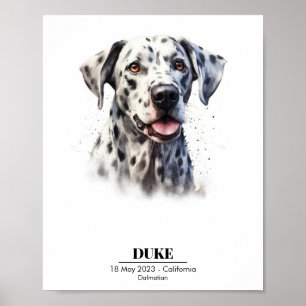 Dalmatische Hond Poster