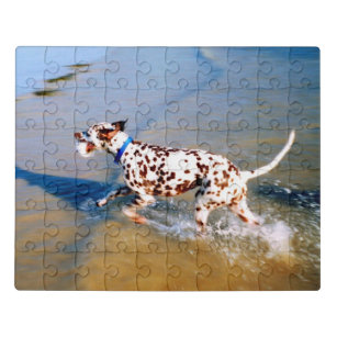 Dalmatische hond puzzel