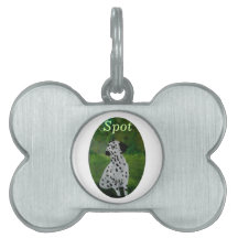 Dalmatische hond schilderij genoemd