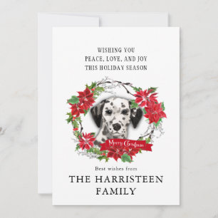 Dalmatische Hond Waterverf Poinsettia Kerstmis Feestdagenkaart