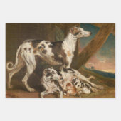 Dalmatische Honden (door James Ward) Inpakpapier Vel (Voorkant)
