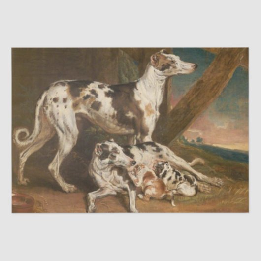 Dalmatische Honden (door James Ward) Tissuepapier (Voorkant)
