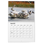 Dalmatische hondenkalender kalender (Mar 2027)