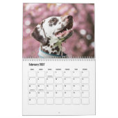 Dalmatische hondenkalender kalender (Feb 2027)