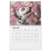 Dalmatische hondenkalender kalender (Feb 2026)