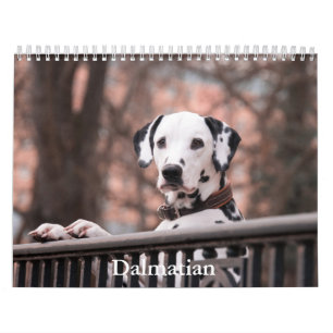 Dalmatische hondenkalender kalender