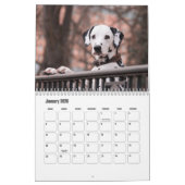 Dalmatische hondenkalender kalender (Jan 2026)
