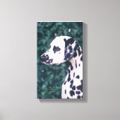 Dalmatische hoofdstudie — Grunt Canvas Afdruk (Voorkant)