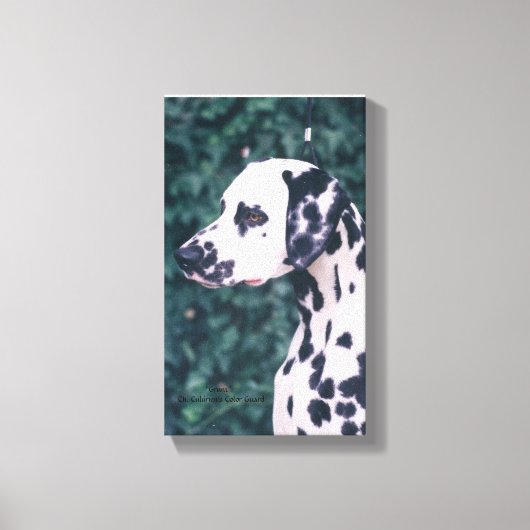Dalmatische hoofdstudie — Grunt Canvas Afdruk (Voorkant)