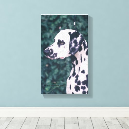 Dalmatische hoofdstudie — Grunt Canvas Afdruk (Insitu (Houten vloer))