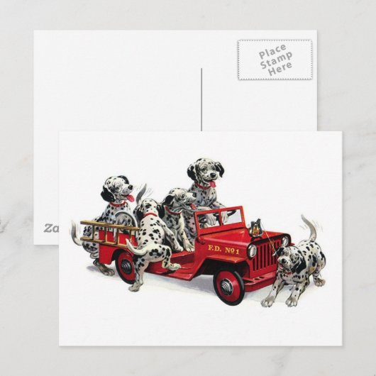 Dalmatische jongen met vuurwapen briefkaart (Voorkant / Achterkant)