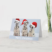 Dalmatische Kaart (Voorkant)