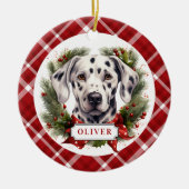 Dalmatische Keramische Cirkel Ornament (Voorkant)