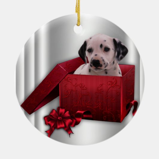 Dalmatische kerstboom Ornament (Achterkant)