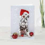 Dalmatische Kerstmis Kaart (Voorkant)