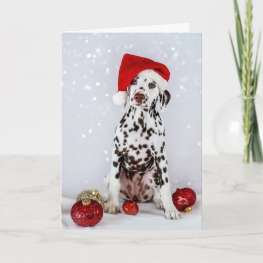Dalmatische Kerstmis Kaart (Voorkant)