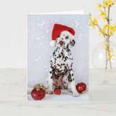 Dalmatische Kerstmis Kaart (Gele Bloem)