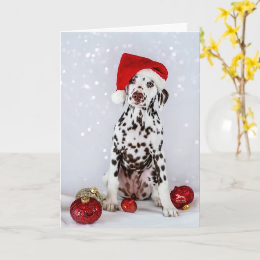 Dalmatische Kerstmis Kaart (Gele Bloem)