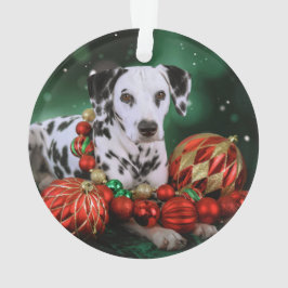 Dalmatische kerstornament ornament