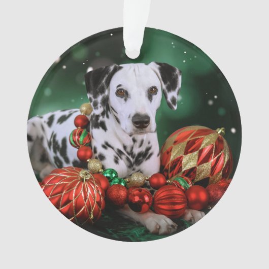 Dalmatische kerstornament ornament (voorkant)