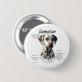 Dalmatische (lever) Geschiedenis Ontwerp Ronde Button 5,7 Cm (Voorkant /achterkant)