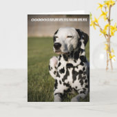 Dalmatische Meditatie Kaart (Gele Bloem)
