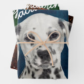 Dalmatische papierbladen voor het verpakken van pa inpakpapier vel (In situ)