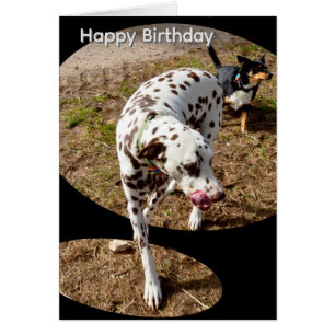 Dalmatische Popout Kunst, Verjaardagskaart