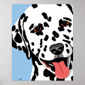 Dalmatische Posters (Voorkant)