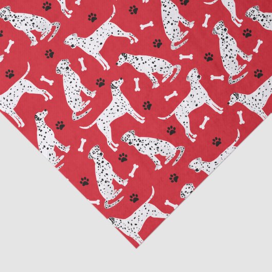 Dalmatische poten en Botten Tissuepapier (Detail)