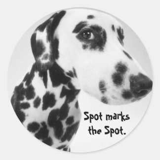 Dalmatische producten ronde sticker