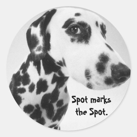 Dalmatische producten ronde sticker (Voorkant)