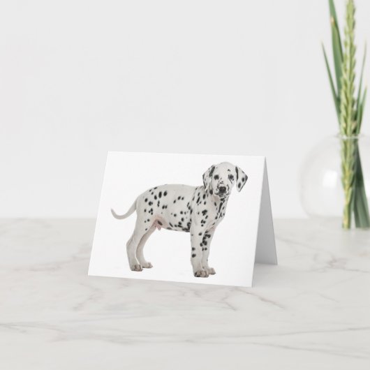 Dalmatische Puppies Hond Hallo Dank Je Wel Liefde, Kaart (Voorkant)