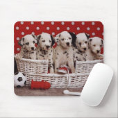 Dalmatische Puppies in een mousepad Muismat (Met muis)