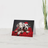 Dalmatische Puppies Kerst Kaart (Voorkant)