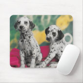 Dalmatische Puppies Mousepad Muismat (Met muis)