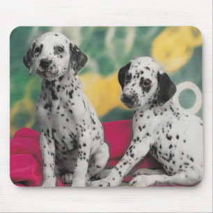 Dalmatische Puppies Mousepad Muismat