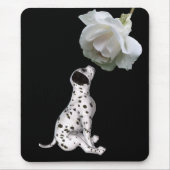 Dalmatische puppy en witte roze muismat (Voorkant)