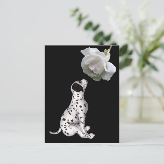 Dalmatische puppy en witte rozenBriefkaart Briefkaart (Staand voorkant)