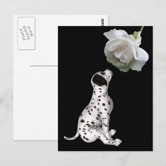 Dalmatische puppy en witte rozenBriefkaart Briefkaart (Voorkant / Achterkant)