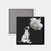 Dalmatische puppy en witte rozenmagneet magneet (Voorkant / Achterkant)