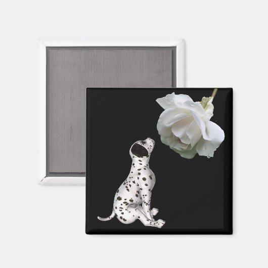 Dalmatische puppy en witte rozenmagneet magneet (Voorkant / Achterkant)