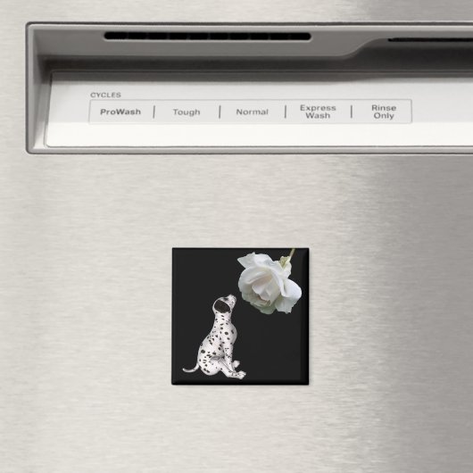 Dalmatische puppy en witte rozenmagneet magneet (Insitu (Vaatwasser))