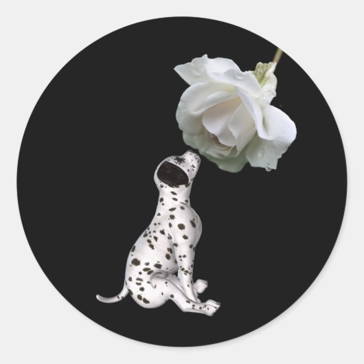 Dalmatische puppy en witte rozenstekker ronde sticker (Voorkant)