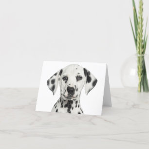 Dalmatische Puppy Hond Hallo, Dank Je, Liefde, Sor Kaart