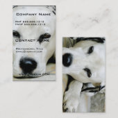 Dalmatische Restende Visitekaartjes (Voorkant / Achterkant)