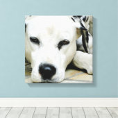 Dalmatische rustende canvas Print (Insitu (Houten vloer))