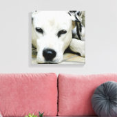 Dalmatische rustende canvas Print (Insitu (Woonkamer))