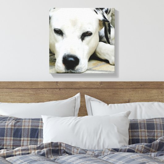 Dalmatische rustende canvas Print (Insitu (Slaapkamer))