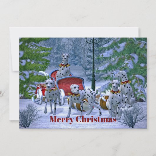  Dalmatische Sneeuwkerst Kaart (Voorkant)